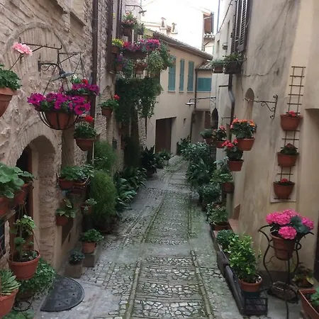 B&B Villa Ceccarini Fonte D'Oro Frühstückspension