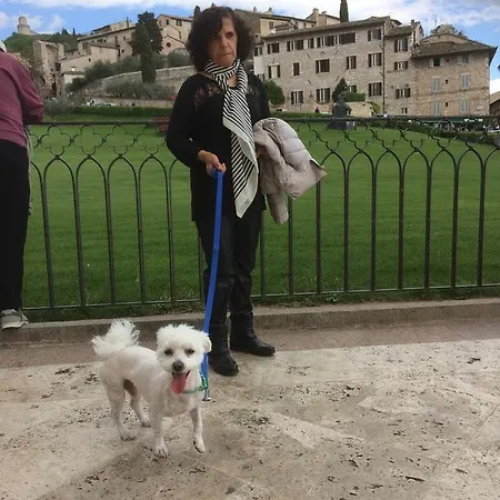 Oda ve Kahvaltı B&B Villa Ceccarini Fonte D'Oro