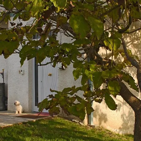 B&B Villa Ceccarini Fonte D'Oro Frühstückspension