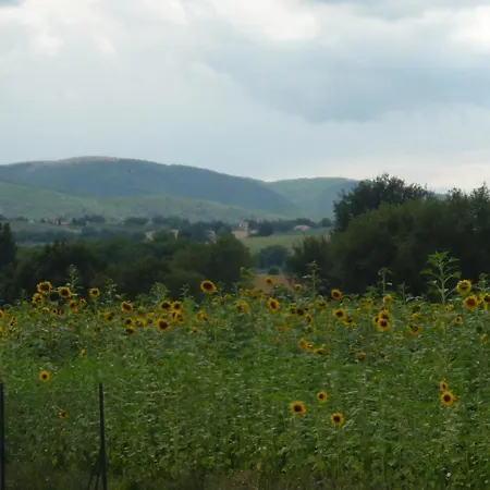 Frühstückspension B&B Villa Ceccarini Fonte D'Oro Montefalco